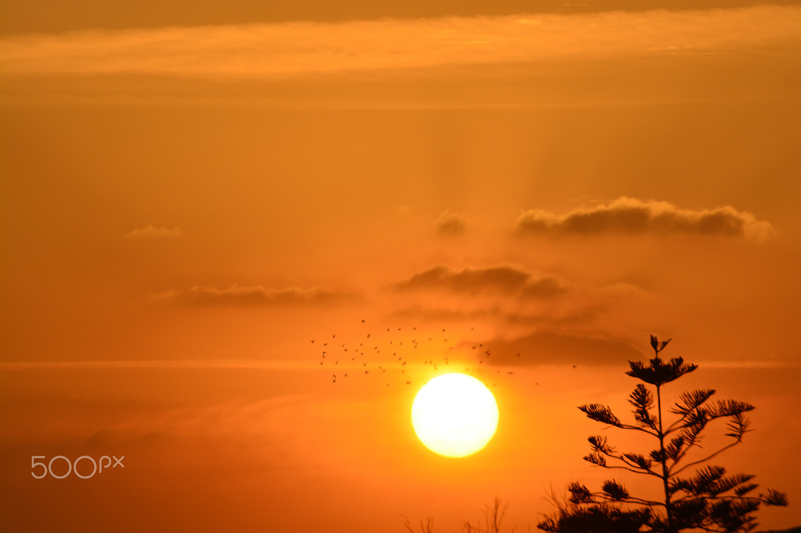 Nikon AF Nikkor 70-300mm F4-5.6G sample photo. Sunset photography