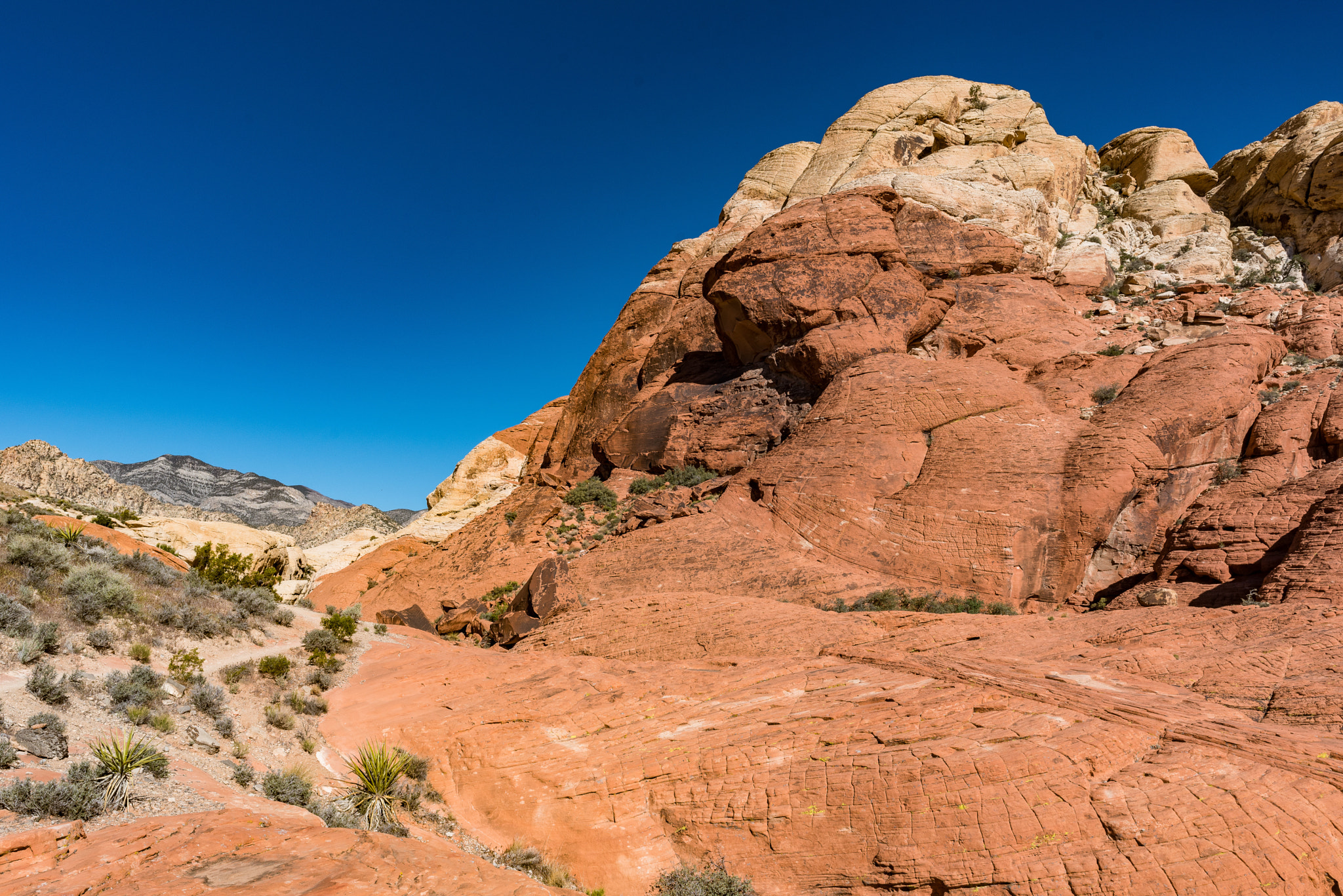 Nikon AF-S Nikkor 24mm F1.8G ED sample photo. Calico trail photography