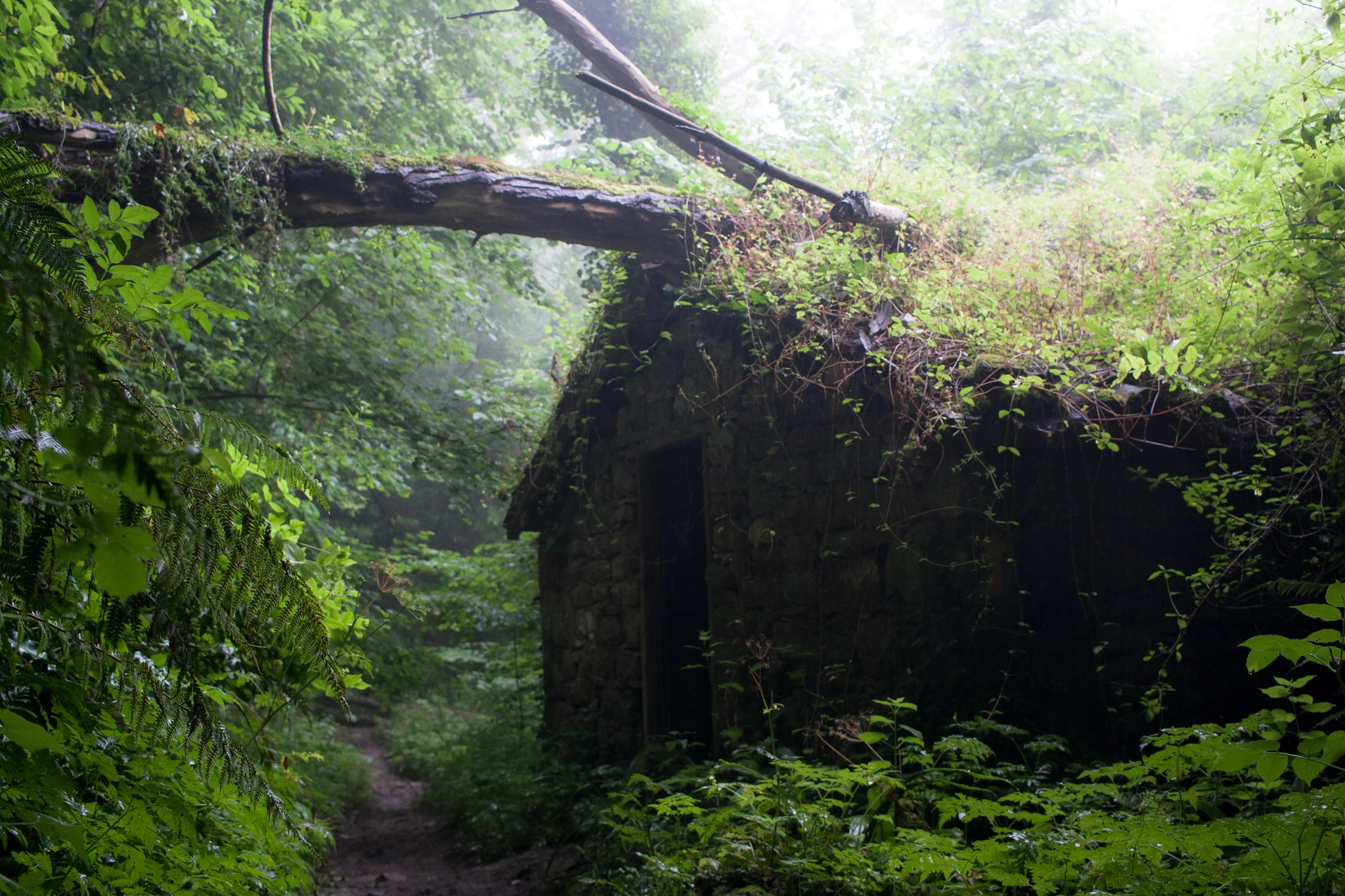Canon EF-S 24mm F2.8 STM sample photo. Ranger's house photography