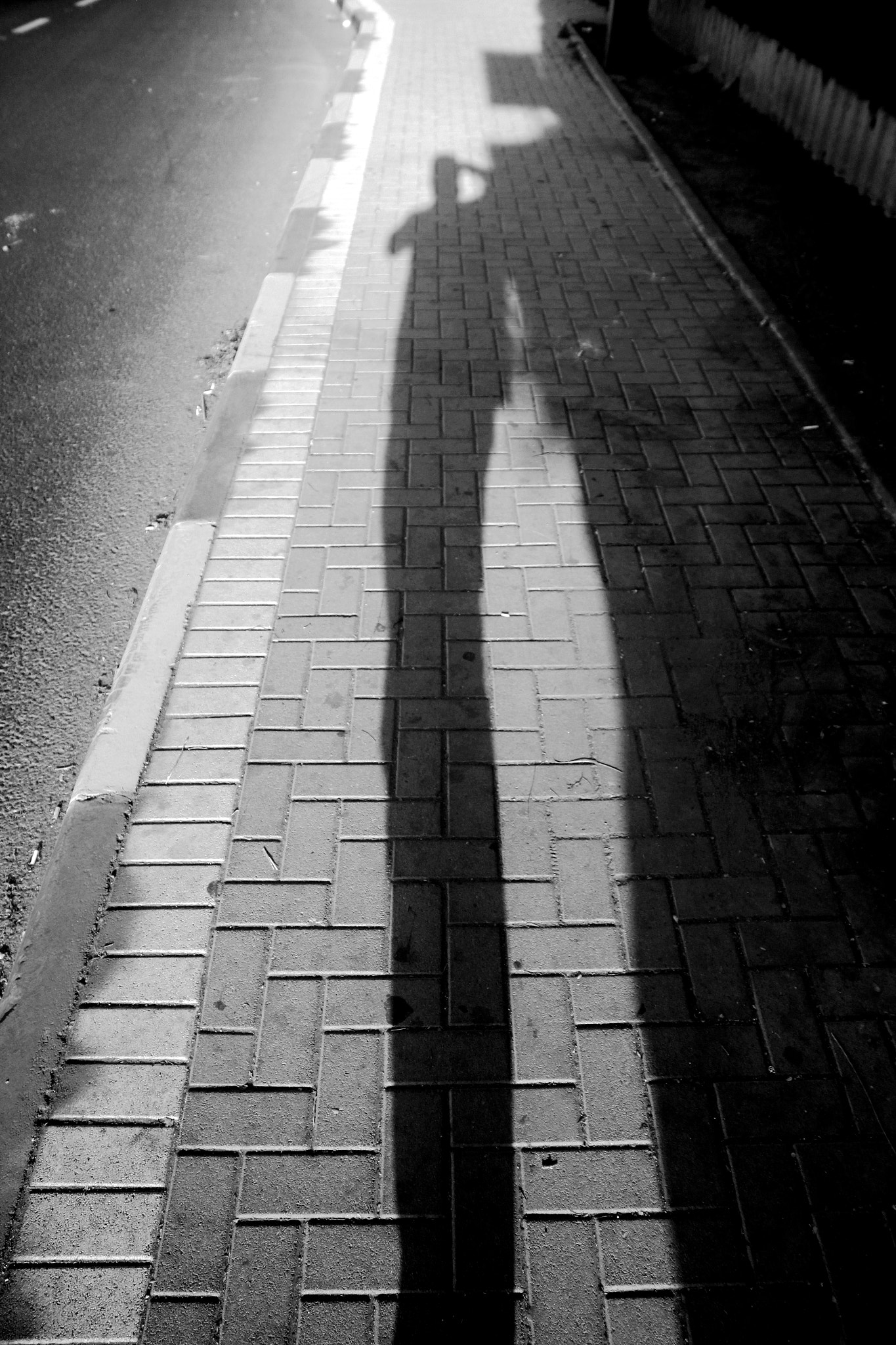 Sigma 17-70mm F2.8-4 DC Macro OS HSM sample photo. Long shadow b&w photography
