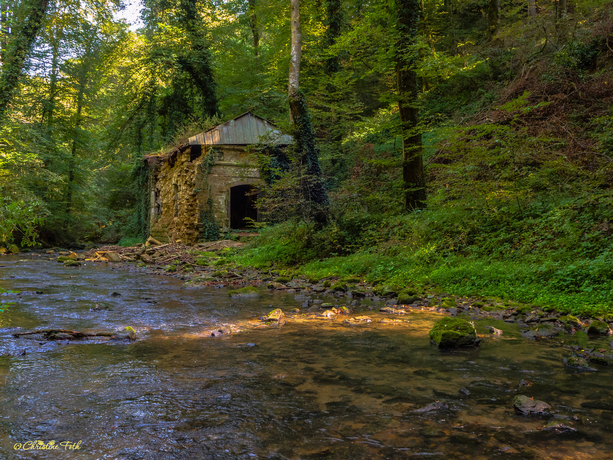 Olympus OM-D E-M10 II sample photo. Herbstliches mullerthal 2 photography