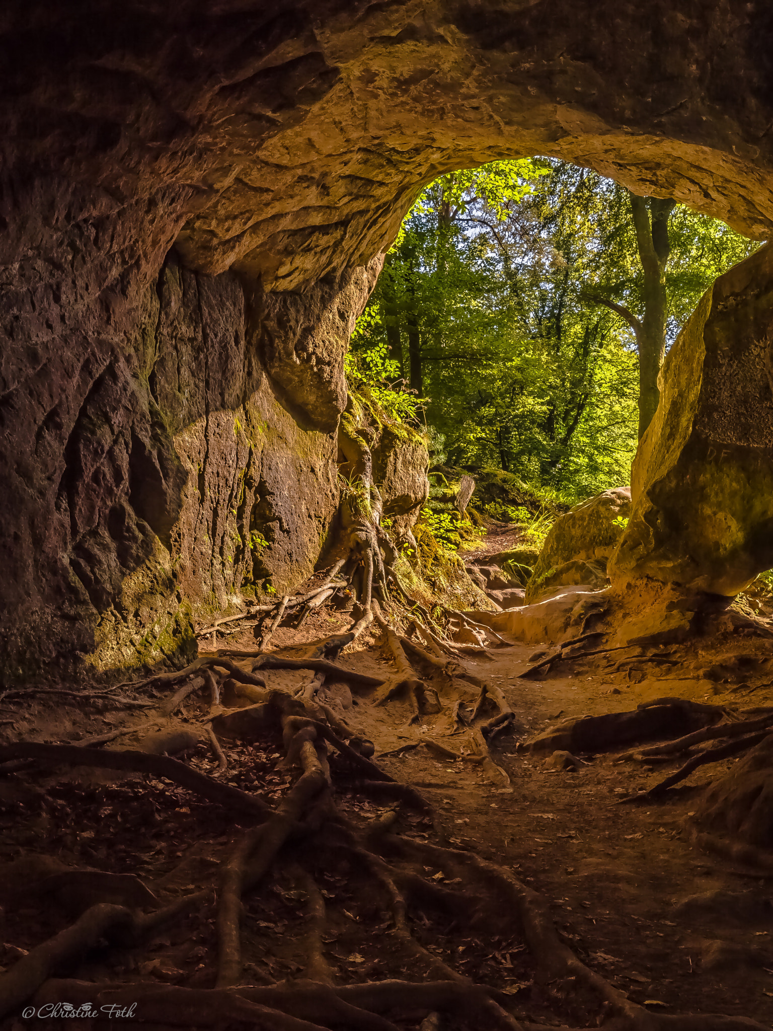 Olympus OM-D E-M5 II sample photo. Herbstliches mullerthal 6 photography