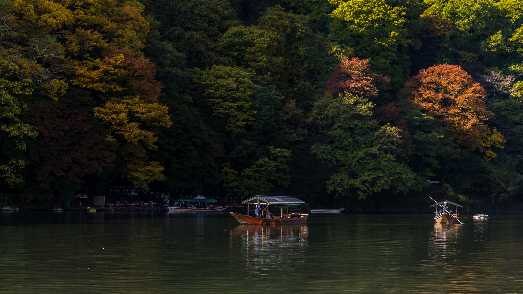 Nikon D600 sample photo. Hozugawa river boat photography