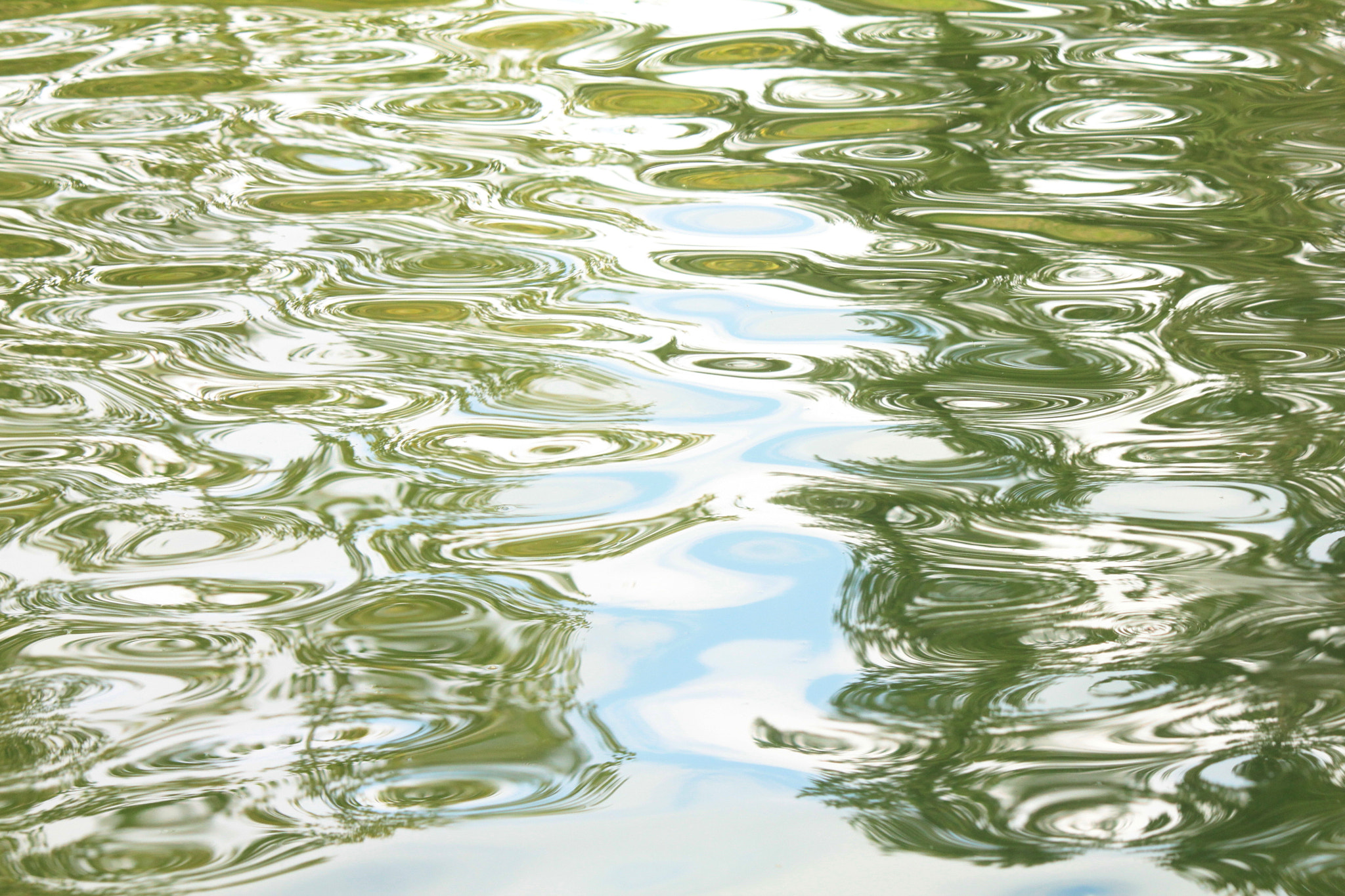 Canon EF-S 55-250mm F4-5.6 IS II sample photo. Reflections of poplars photography