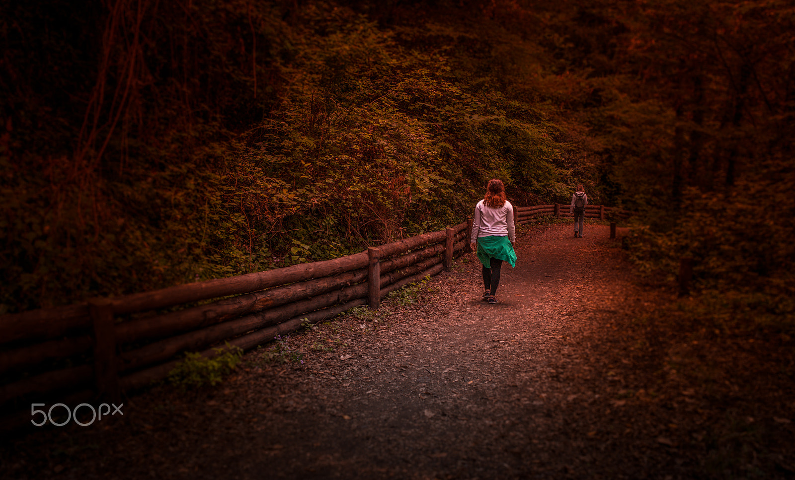 Nikon D600 + Nikon AF-S Nikkor 28mm F1.8G sample photo. Autumnal red walk photography