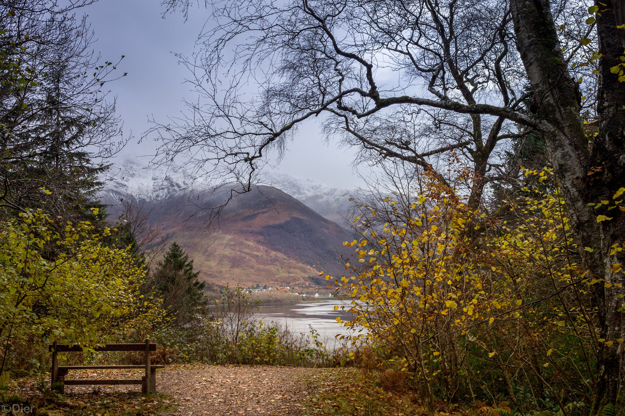 Canon EF-S 24mm F2.8 STM sample photo. "dedicated to old george [...]" photography