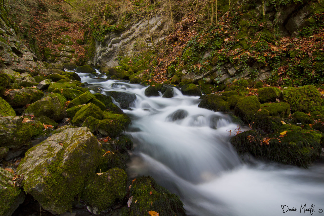 Tokina AT-X Pro 12-24mm F4 (IF) DX sample photo. Riu bastareny photography