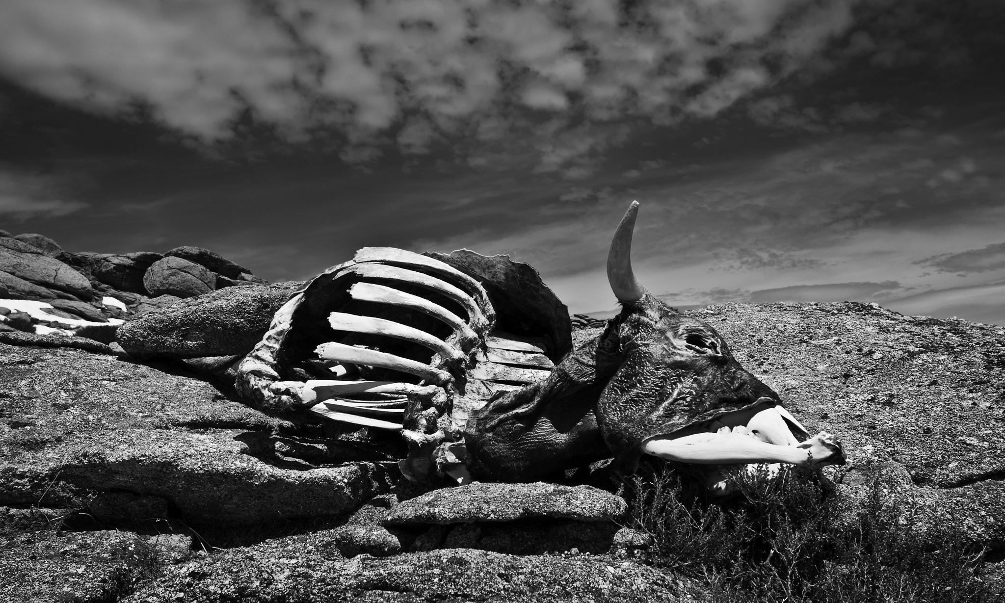 Canon EF-S 10-22mm F3.5-4.5 USM sample photo. Dead cow blues photography