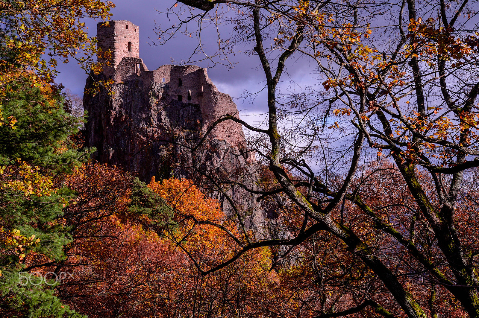 Nikon D4 sample photo. Giersberg castle ribeauvillé photography