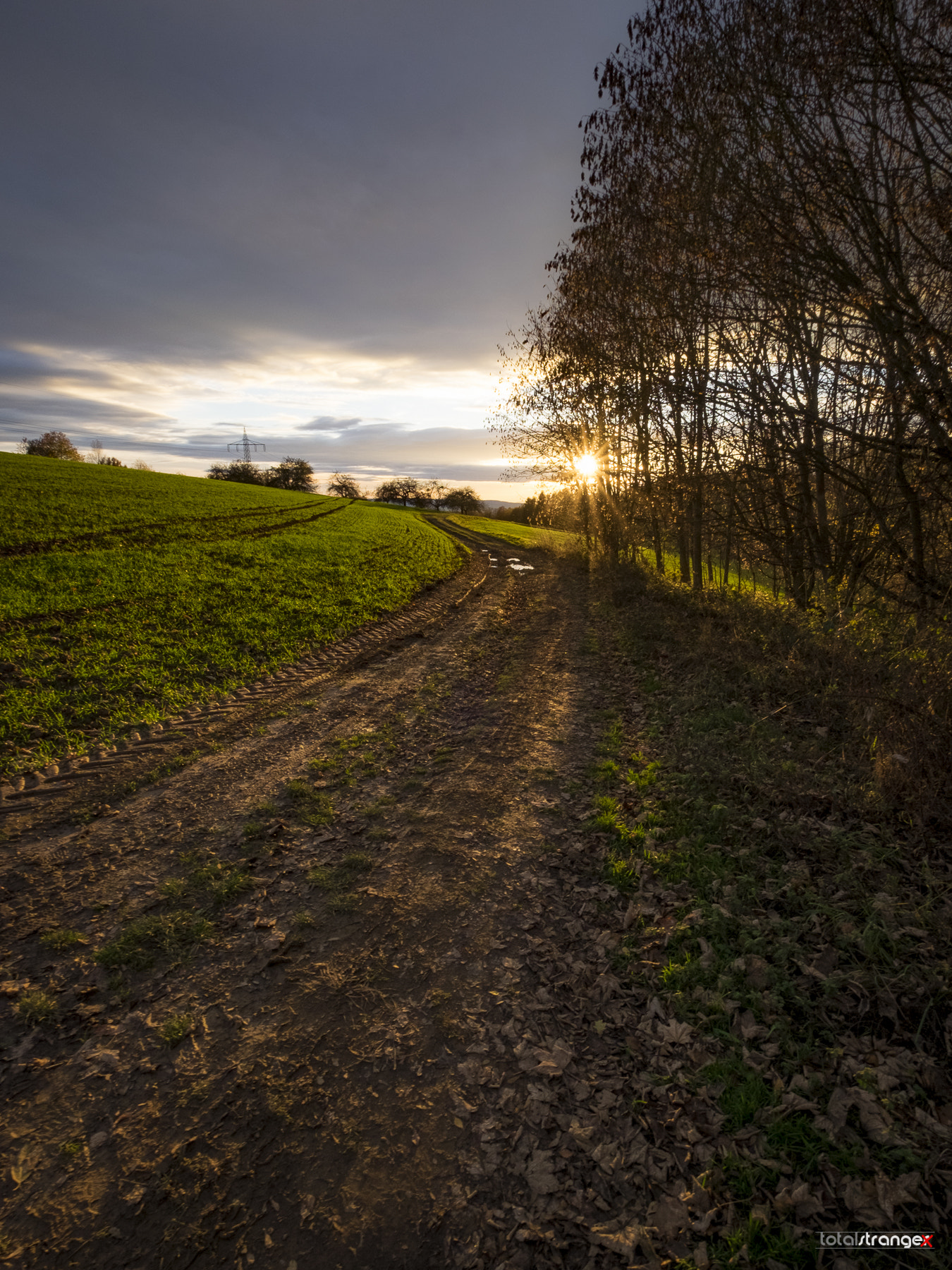 Fujifilm X-T10 sample photo. Autumn sunset photography