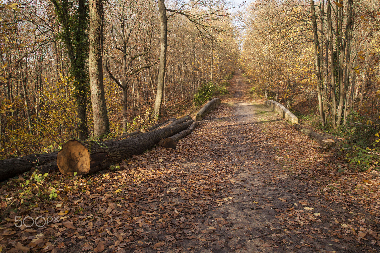 Minolta/Sony AF 24-105mm F3.5-4.5 (D) sample photo. Devil's bridge photography