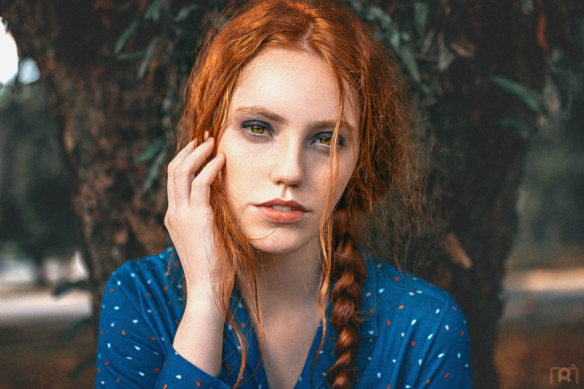 Sigma 35mm F1.4 DG HSM Art sample photo. Red on blue photography