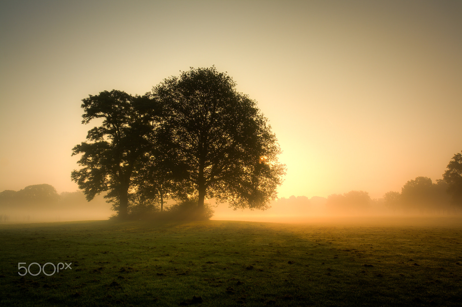 Canon EOS 1000D (EOS Digital Rebel XS / EOS Kiss F) sample photo. Another foggy sunrise at goffertpark photography
