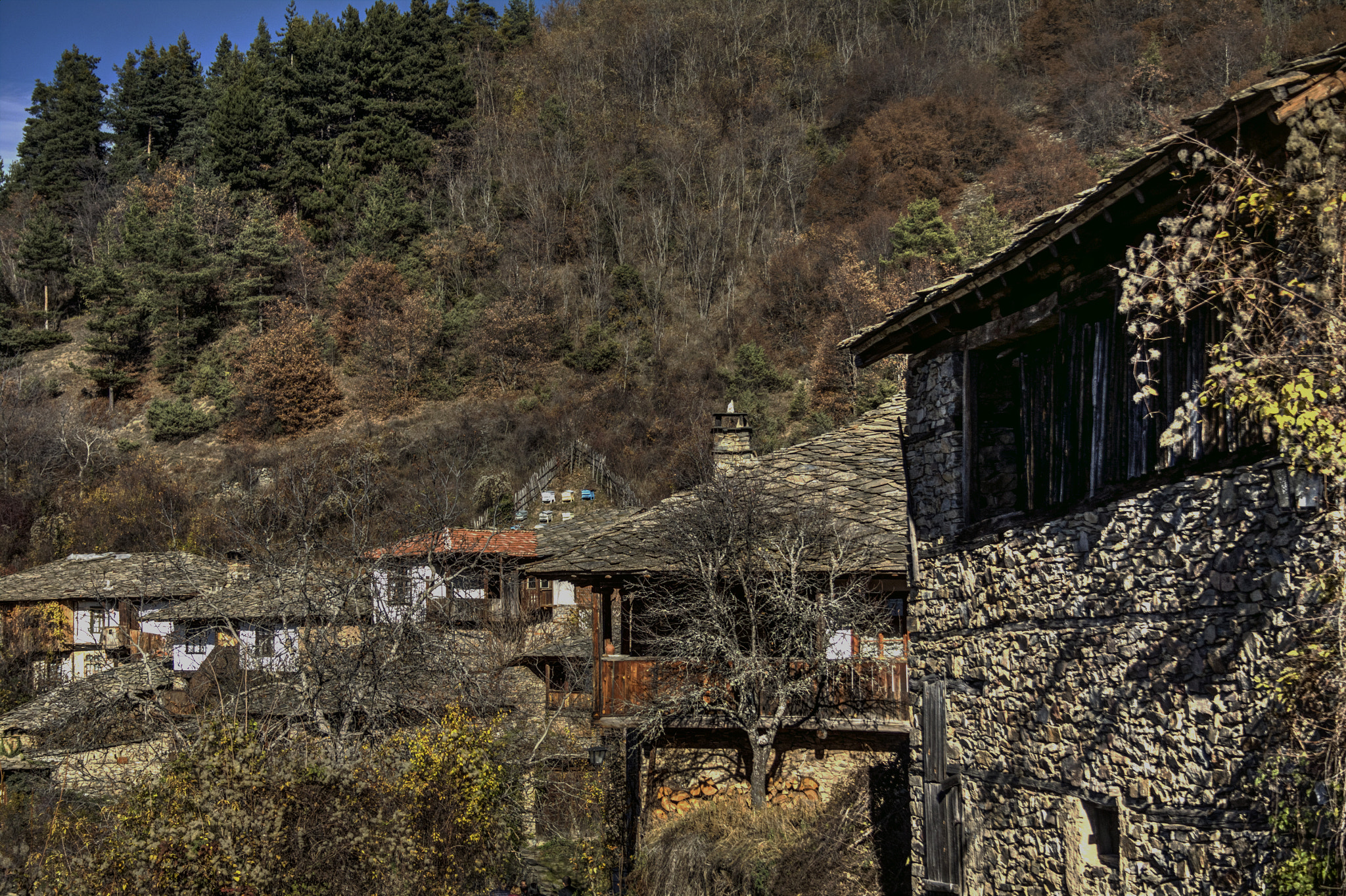 Canon EF-S 18-55mm F3.5-5.6 II sample photo. Leshten photography