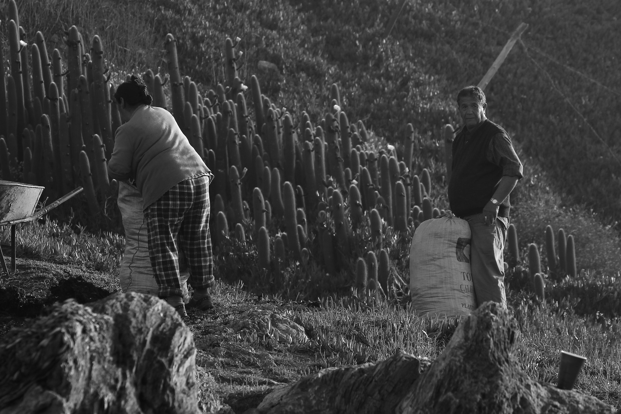 Canon EOS 1100D (EOS Rebel T3 / EOS Kiss X50) sample photo. Trabajo de playa. photography
