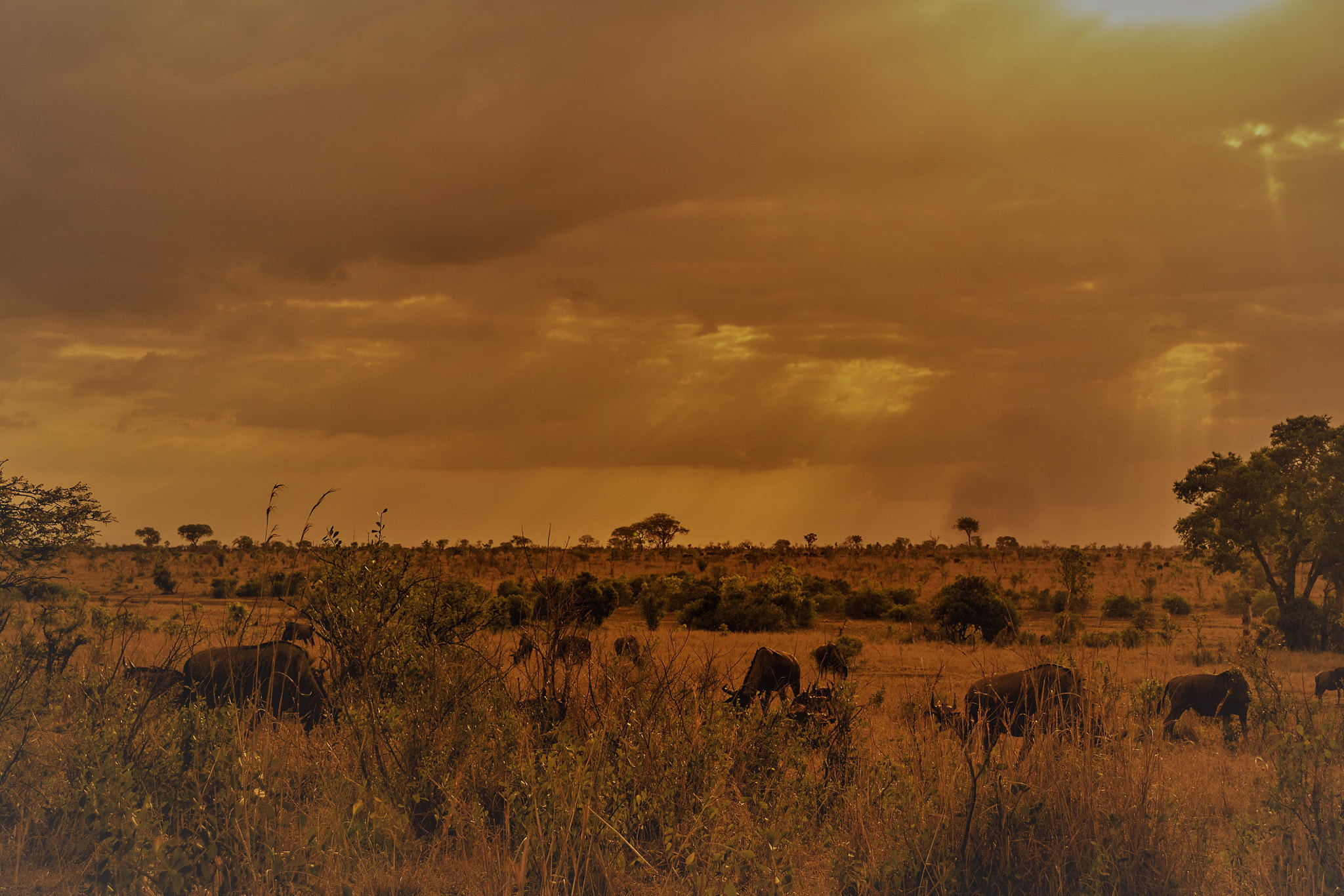 Canon EOS 60D sample photo. Peaceful photography