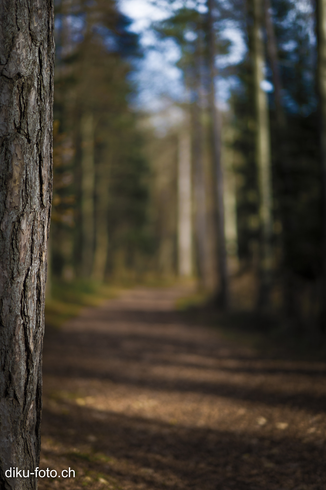 Nikon D4 + Nikon AF-S Nikkor 85mm F1.4G sample photo. The future is blurry photography