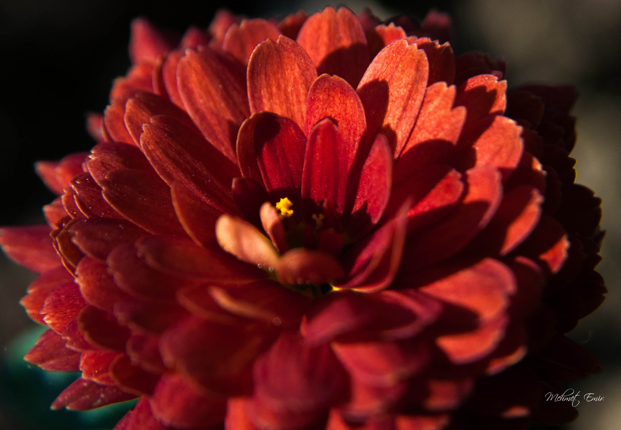 Nikon AF Nikkor 24-85mm F2.8-4D IF sample photo. . photography