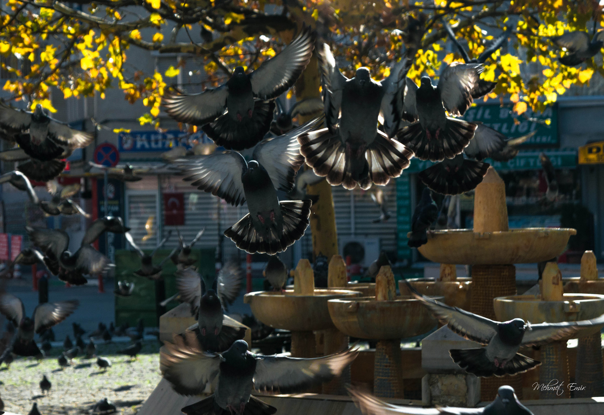 Nikon AF Nikkor 24-85mm F2.8-4D IF sample photo. . photography