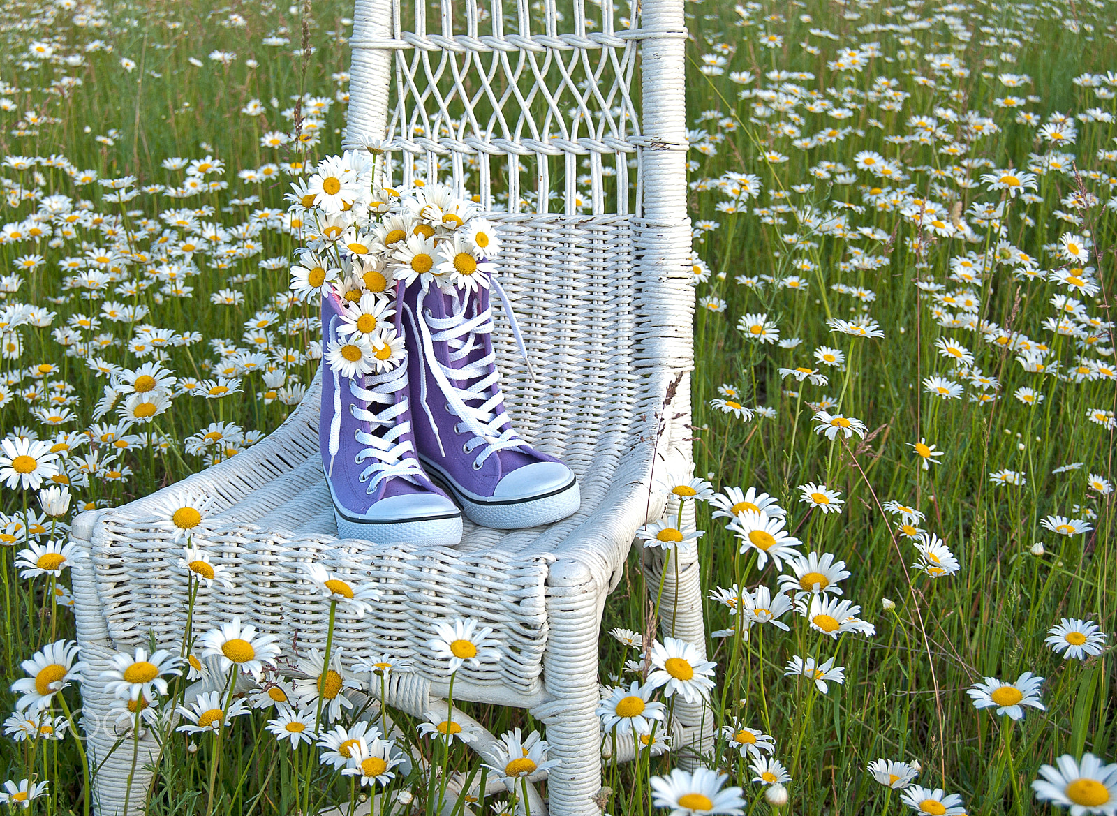 Nikon D80 sample photo. Daisy bouquet in sneakers photography
