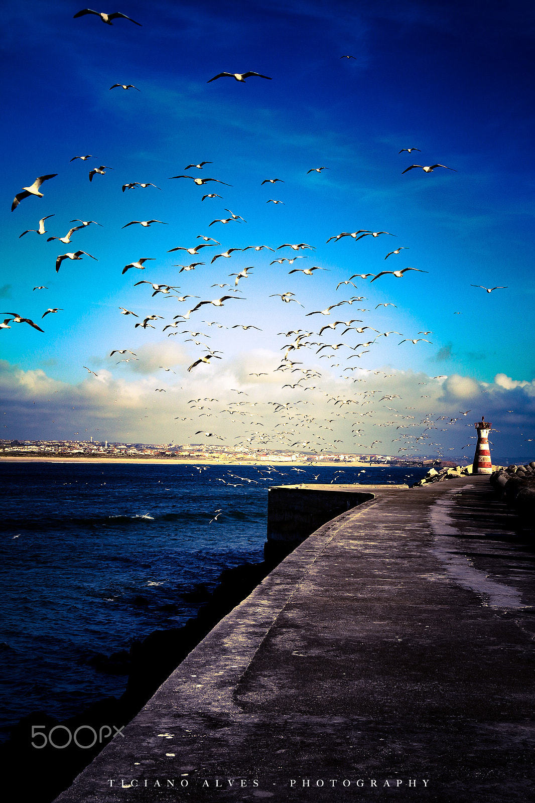 Canon EF-S 18-55mm F3.5-5.6 III sample photo. Seagulls on the lighthouse photography