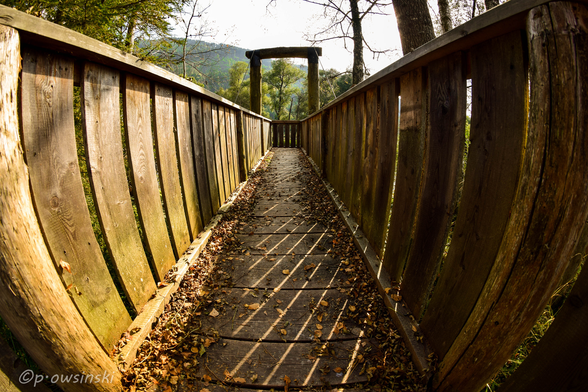 Nikon D5300 + Samyang 8mm F3.5 Aspherical IF MC Fisheye sample photo. Wooden bridge over a river photography