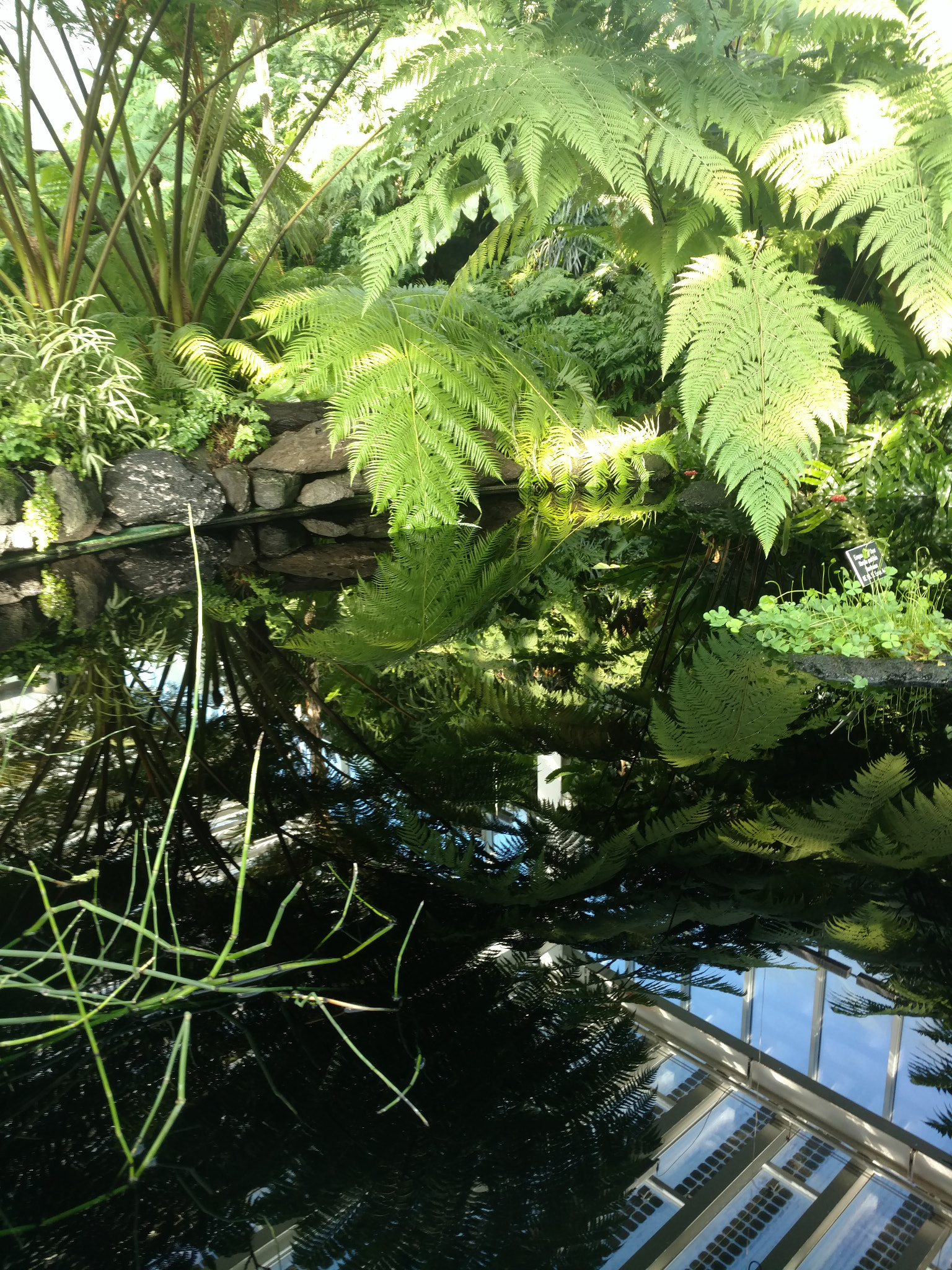 Motorola Moto X Pure Edition sample photo