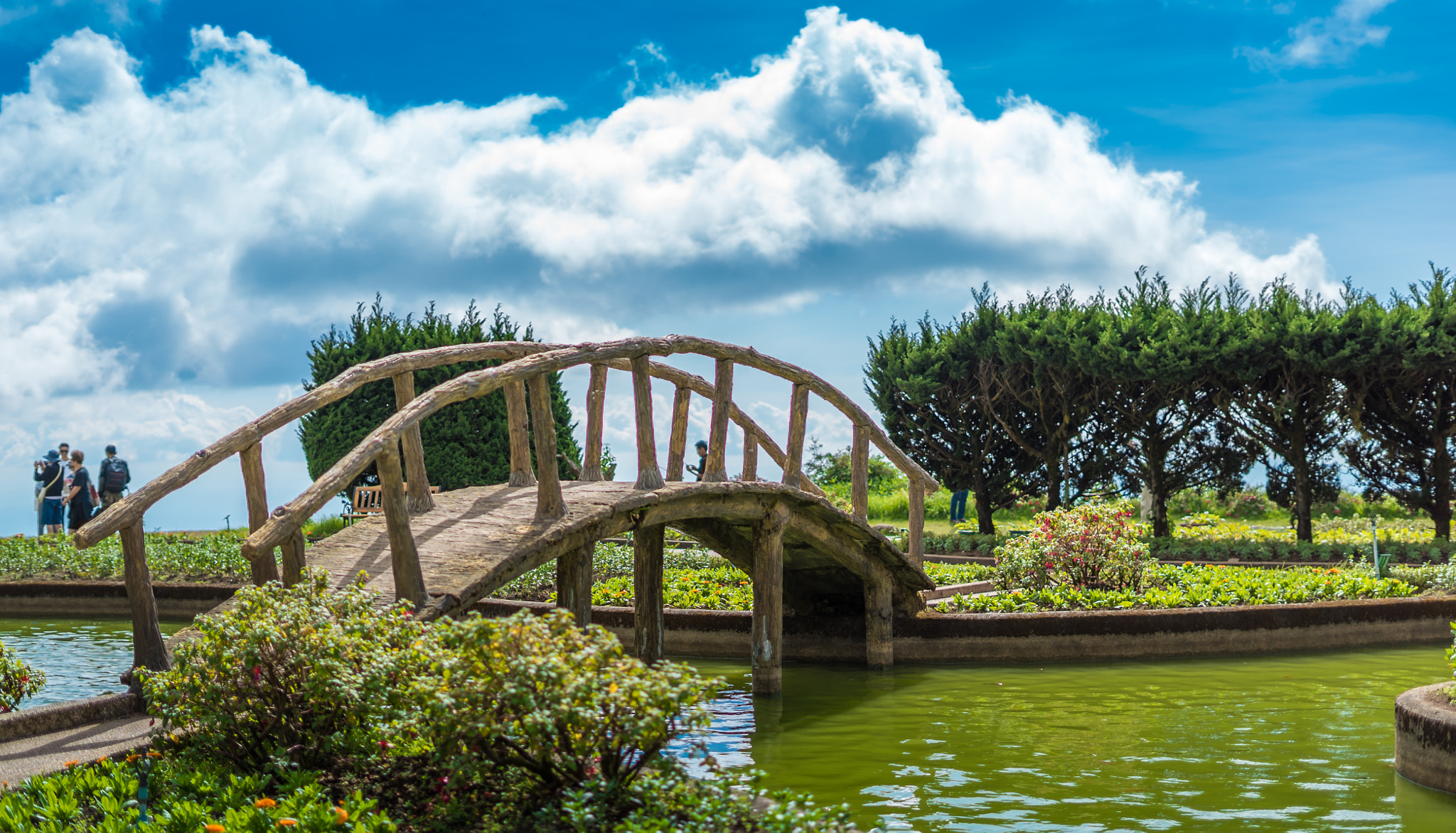 Sony FE 50mm F1.8 sample photo. Temple garden photography