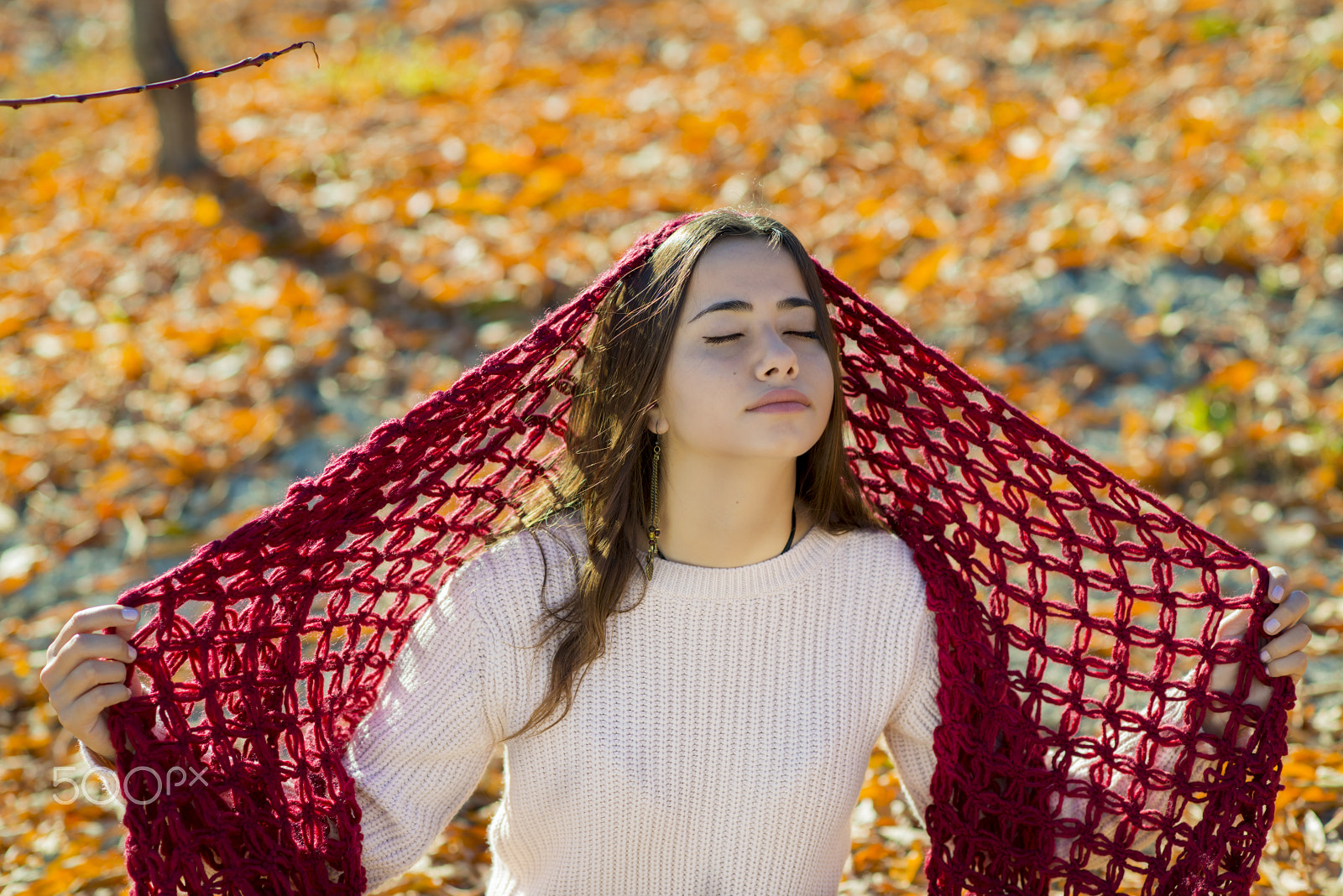 Nikon D800E + Nikon AF Nikkor 85mm F1.8D sample photo. Young girl portraits in autumn colors photography