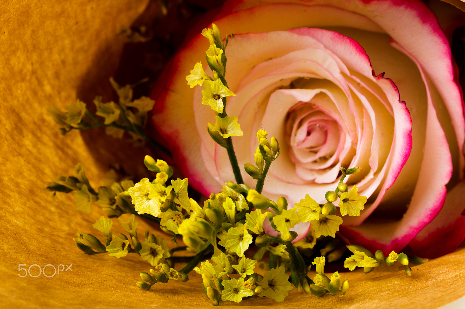 Canon EOS-1D Mark IV sample photo. Bouquet of flowers "limonium" and rose "sweetness" in parchment photography