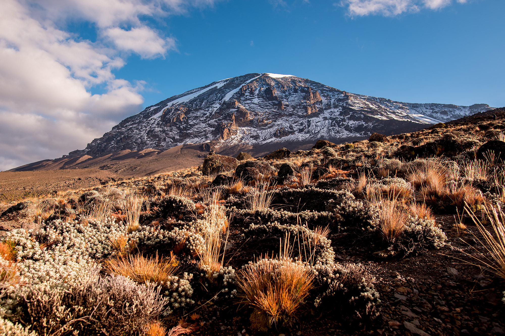Nikon D810A sample photo. Kilimanjaro photography