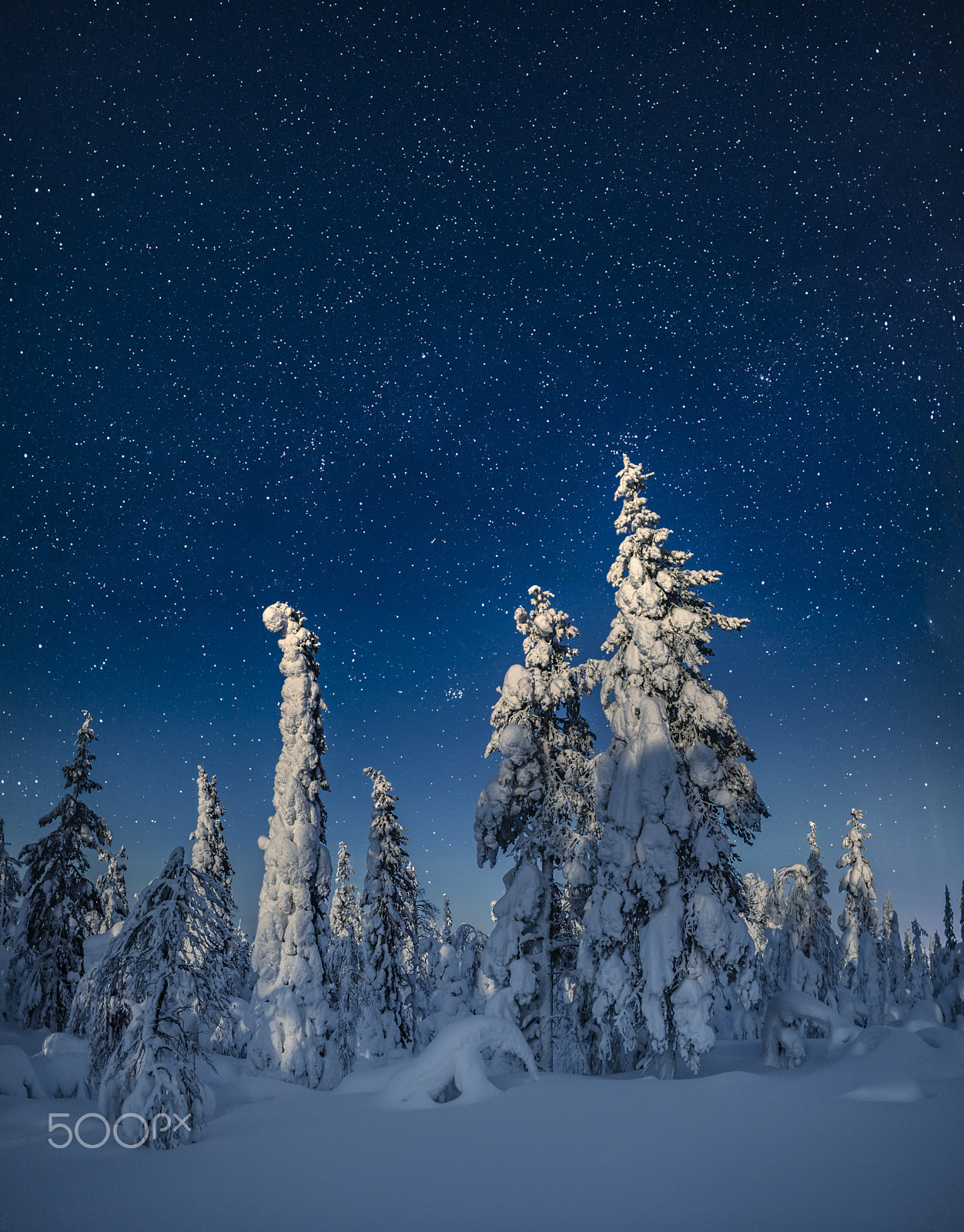 Canon EOS 6D sample photo. Winter night photography