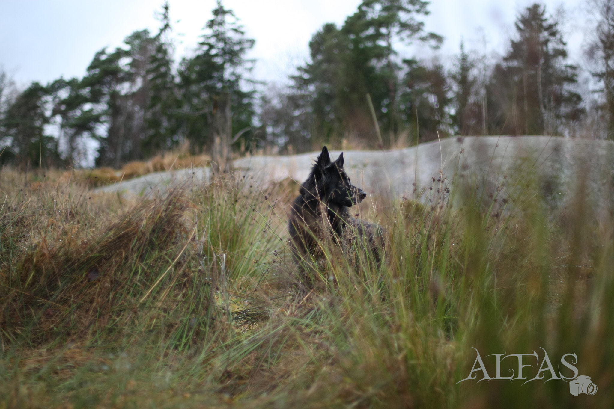 Canon EOS-1D Mark III sample photo. Hx photography