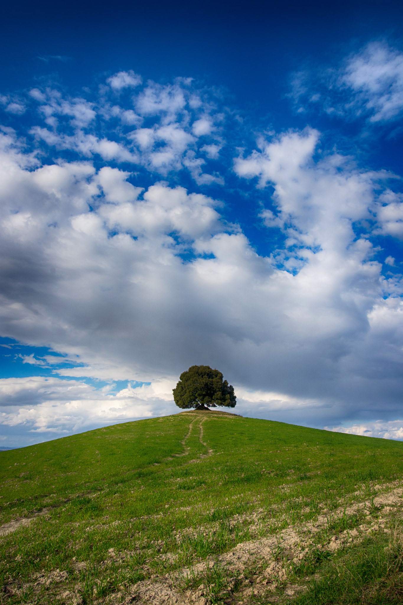 Nikon D7200 + Sigma 17-35mm F2.8-4 EX DG  Aspherical HSM sample photo. Lonely photography