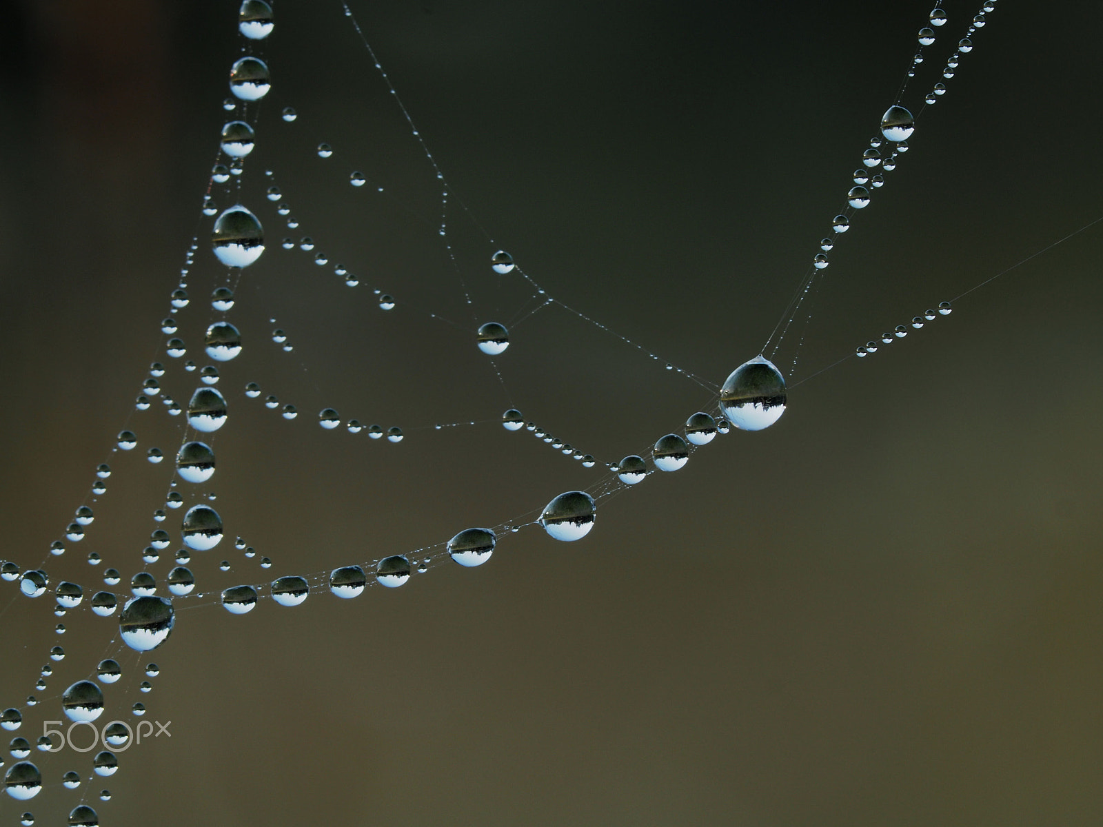 Sigma 150mm F2.8 EX DG Macro HSM sample photo. The world in the mirror... photography