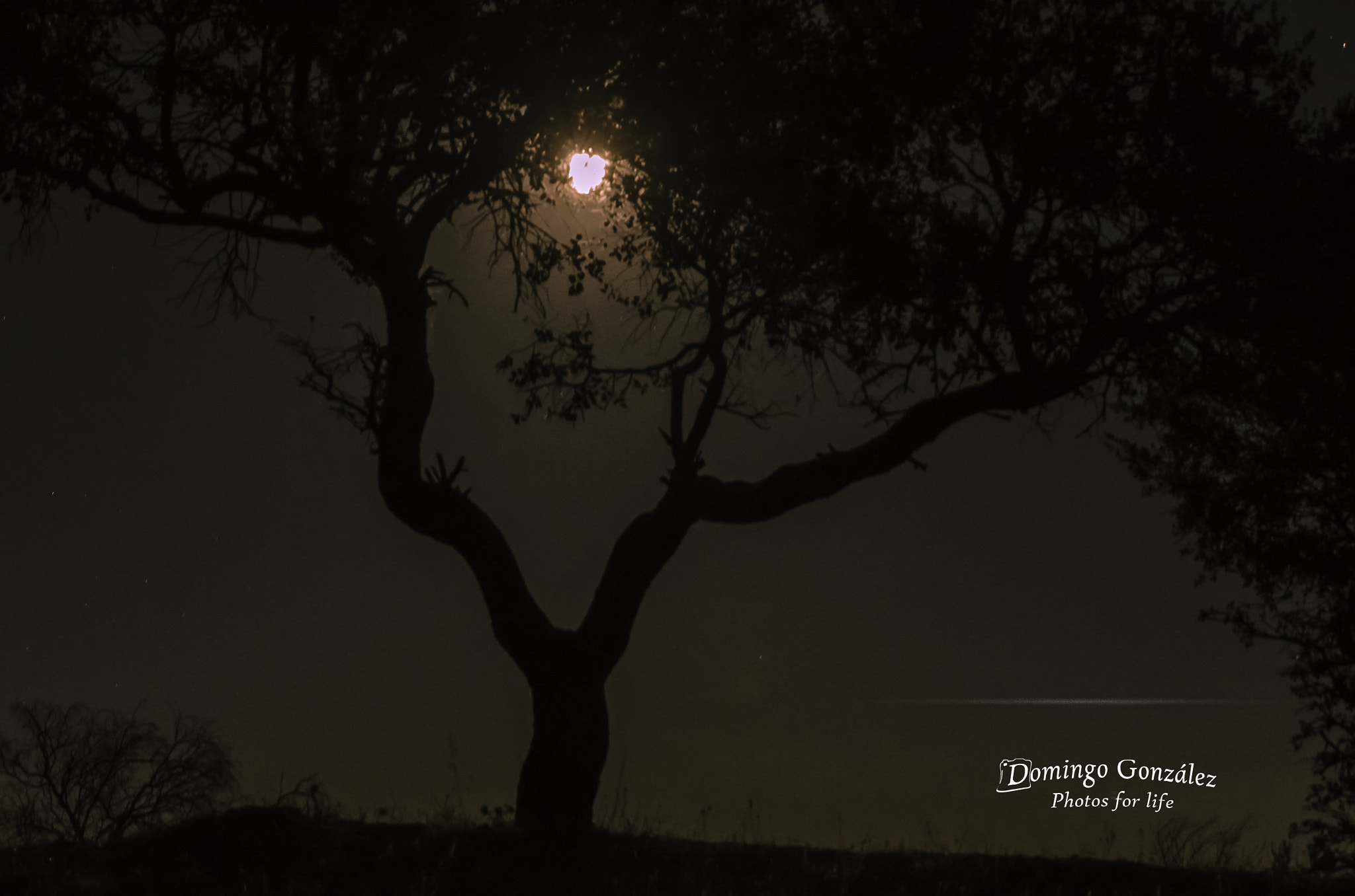 Sigma 50-150mm F2.8 EX APO DC OS HSM sample photo. La colina photography