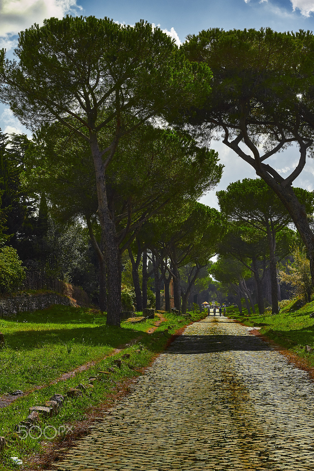 Canon EOS 550D (EOS Rebel T2i / EOS Kiss X4) + Canon EF 50mm F1.8 II sample photo. Via appia antica - roma photography