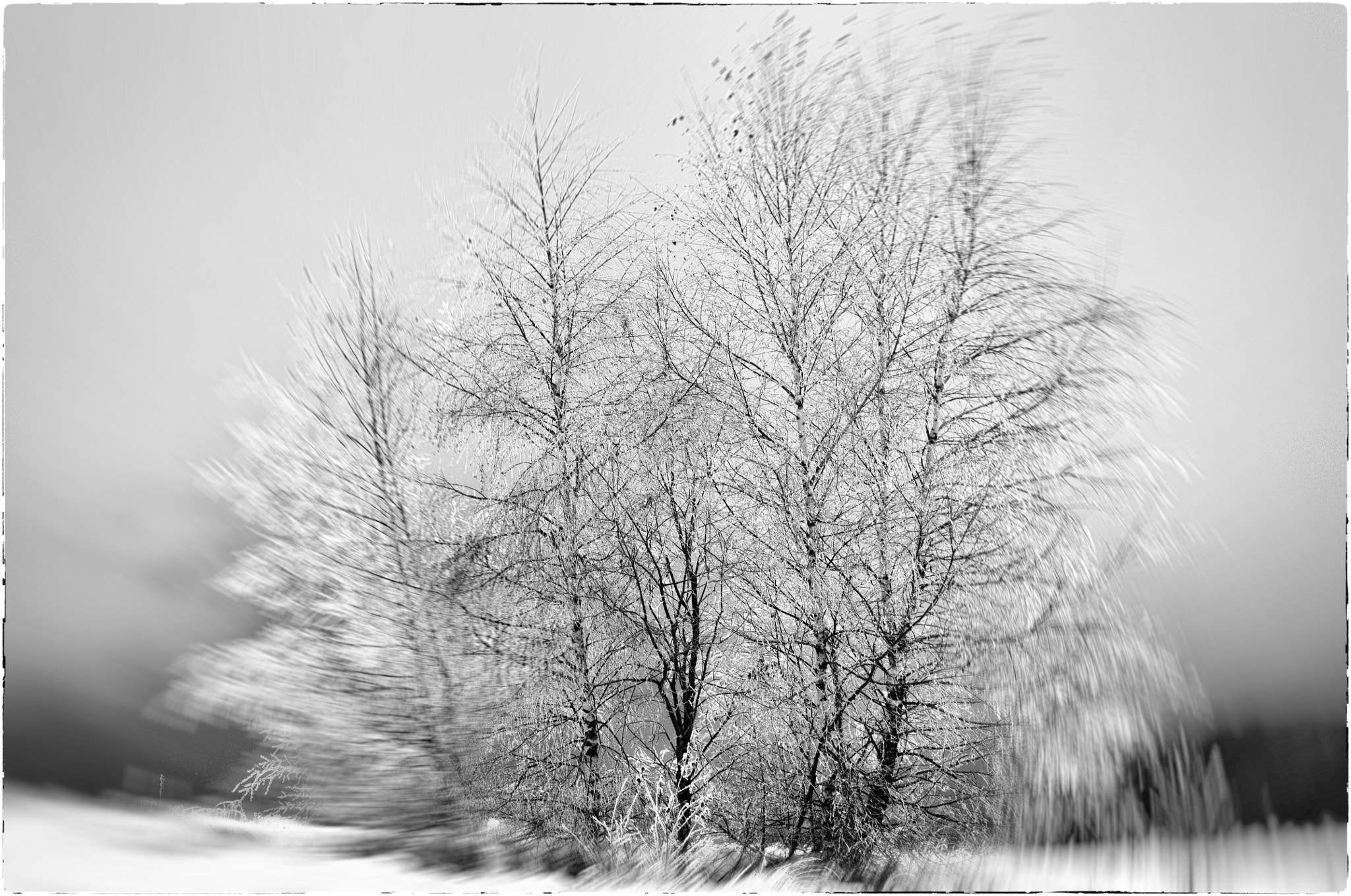 Nikon D90 sample photo. Frost photography
