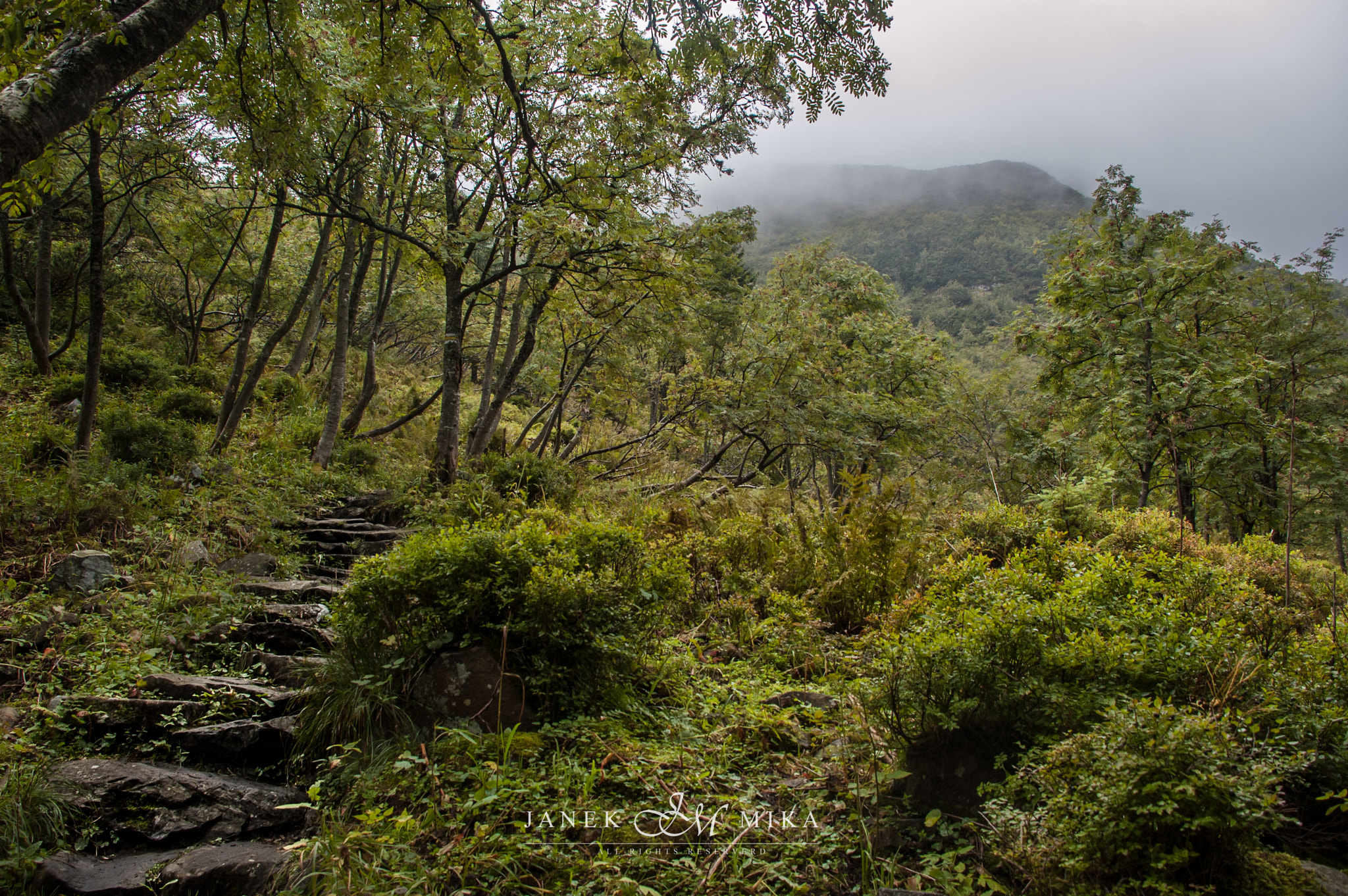 Nikon D50 sample photo. Road to nowhere photography