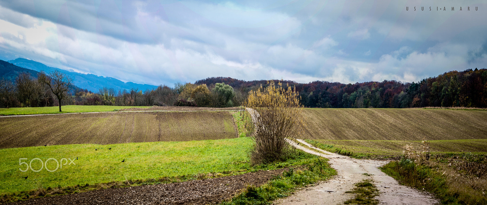 Nikon D5000 sample photo. Landscape photography