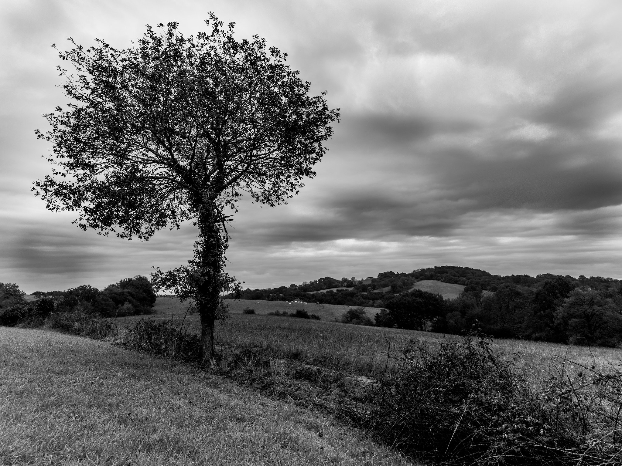 Sony Alpha NEX-7 sample photo. Campagne sous un ciel chargé photography