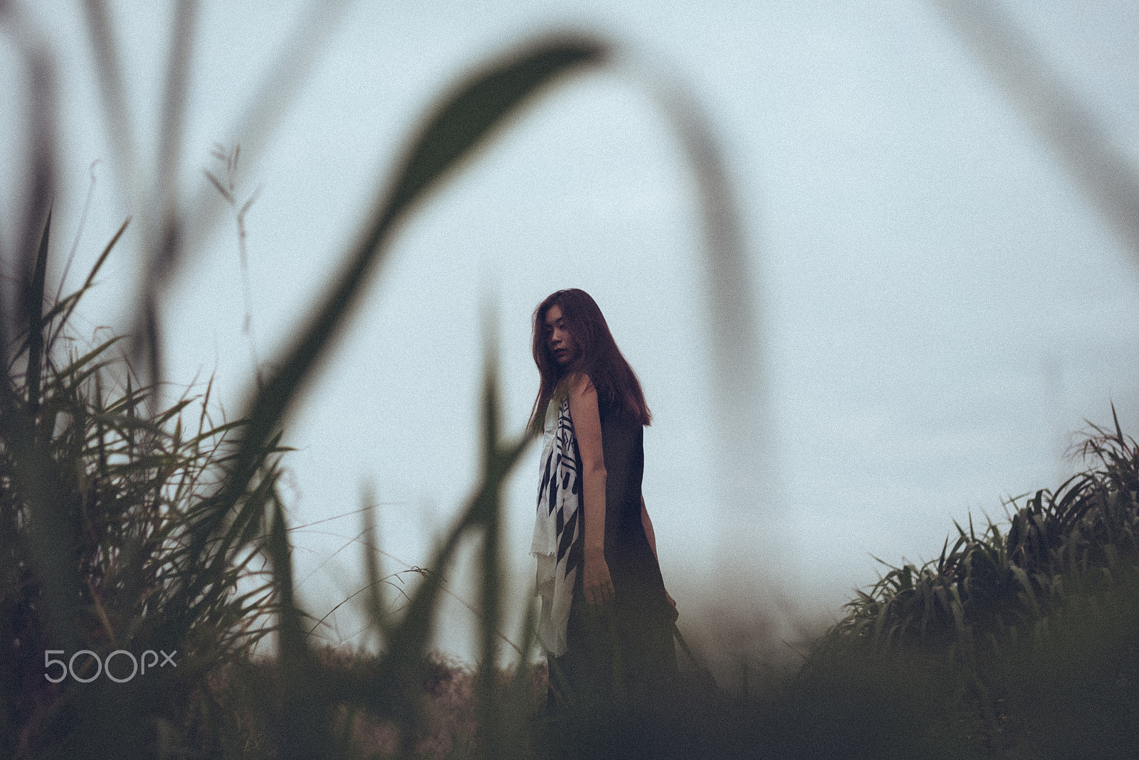 Nikon D750 + Nikon AF Nikkor 35mm F2D sample photo. Qi photography