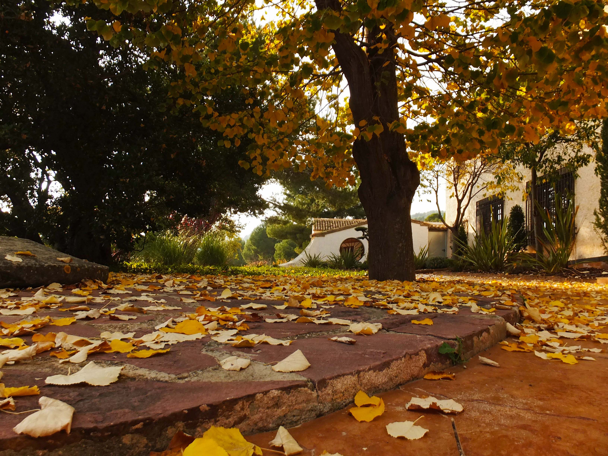 Fujifilm FinePix F770EXR (FinePix F775EXR) sample photo. Otoño photography