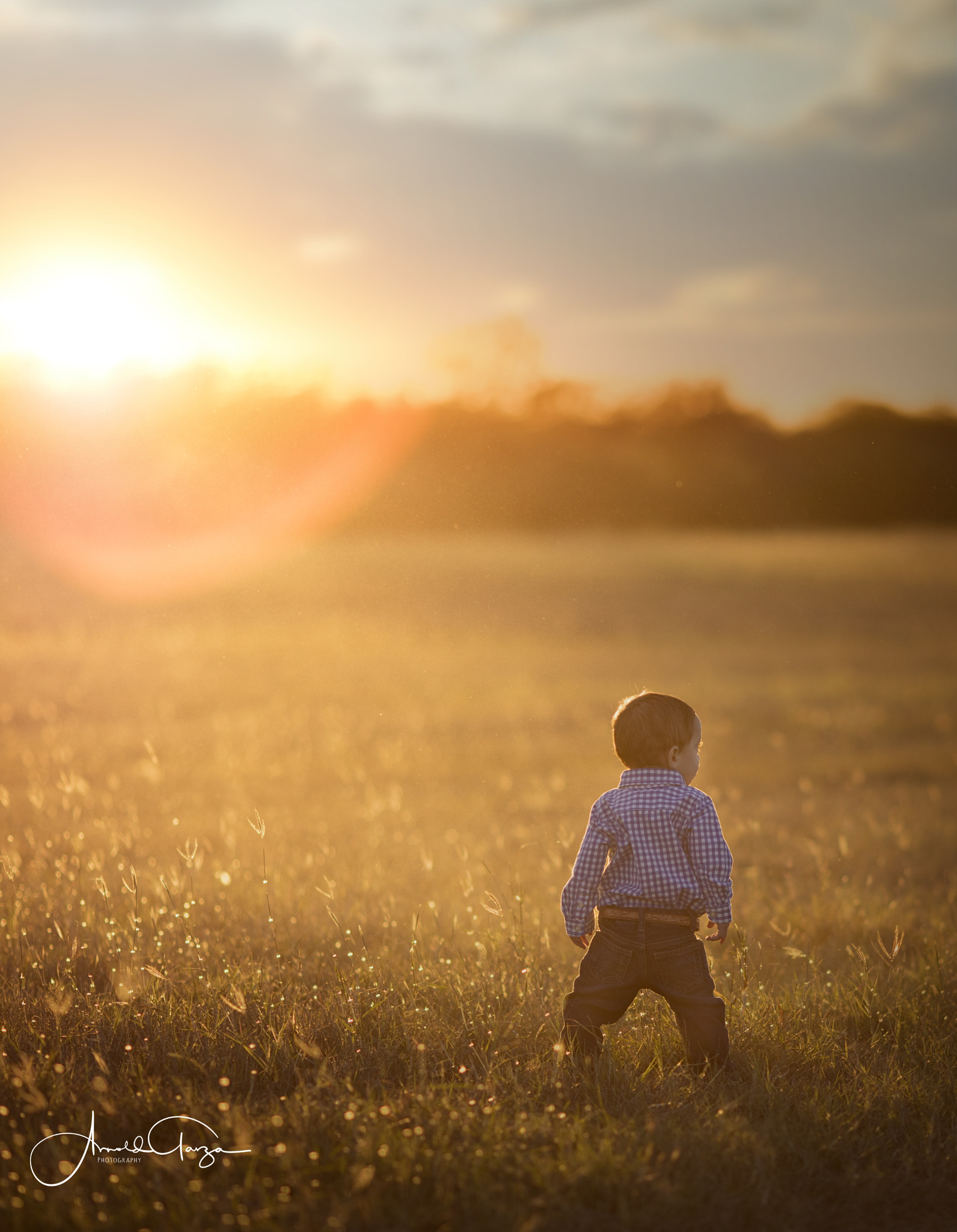 Canon EOS 5DS sample photo. Romeo soaking it all in... photography