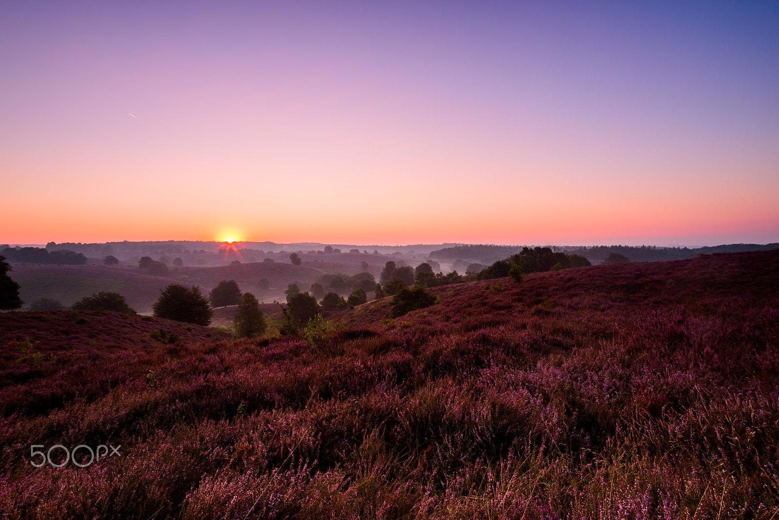 Tamron AF 19-35mm f/3.5-4.5 (A10) sample photo. Purple hills photography