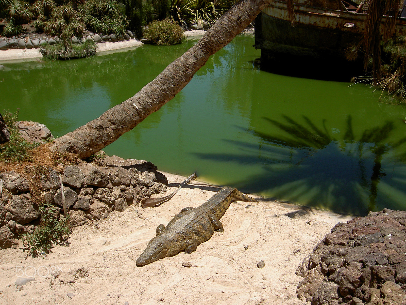 KONICA MINOLTA DiMAGE G400 sample photo. Fuerteventura - canary islands photography