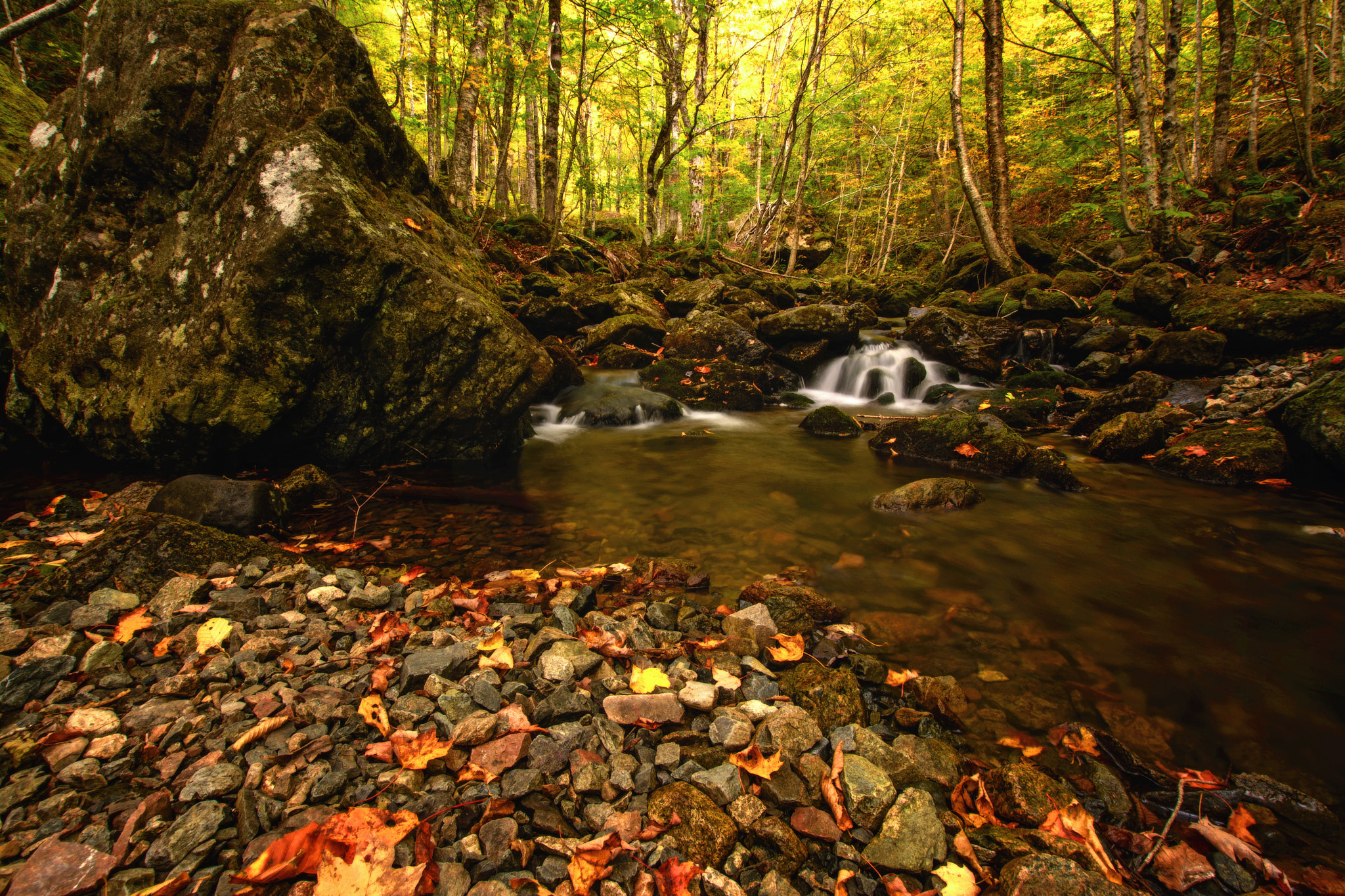 Nikon D5200 + Sigma 10-20mm F3.5 EX DC HSM sample photo. Autumn paradise photography