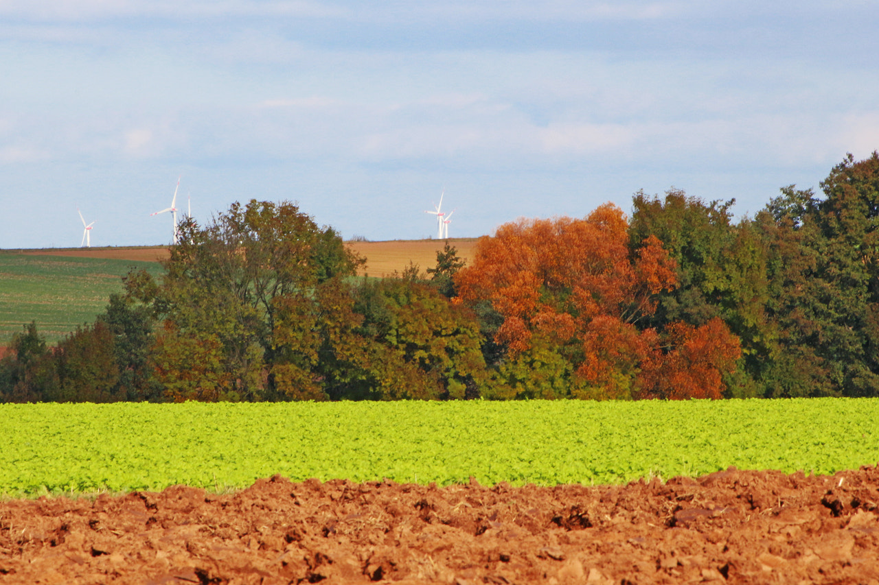 Canon EOS 100D (EOS Rebel SL1 / EOS Kiss X7) + EF75-300mm f/4-5.6 sample photo. Autumn landscape photography