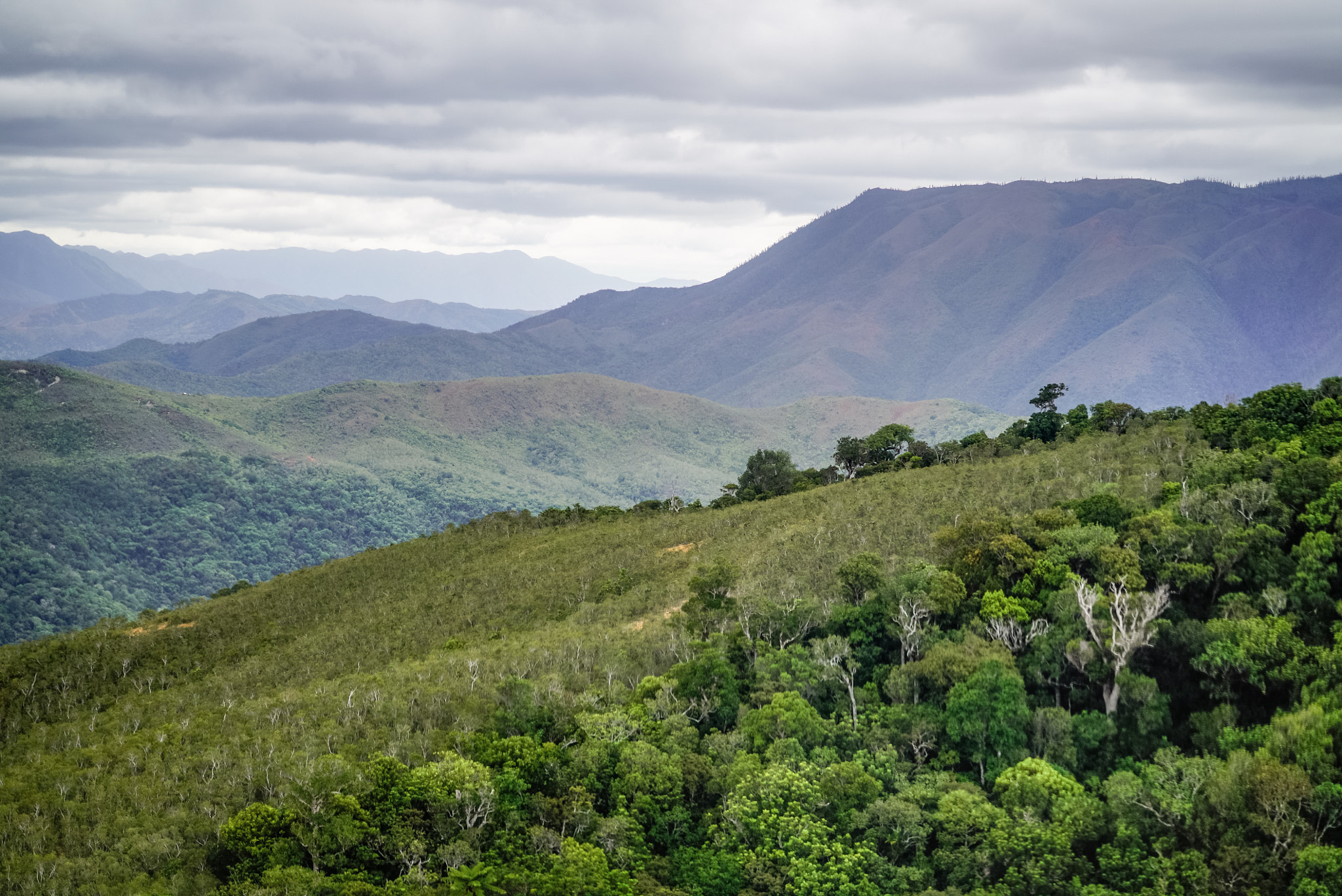 Sony a7S sample photo. New caledonia landscapes, trees and valleys photography