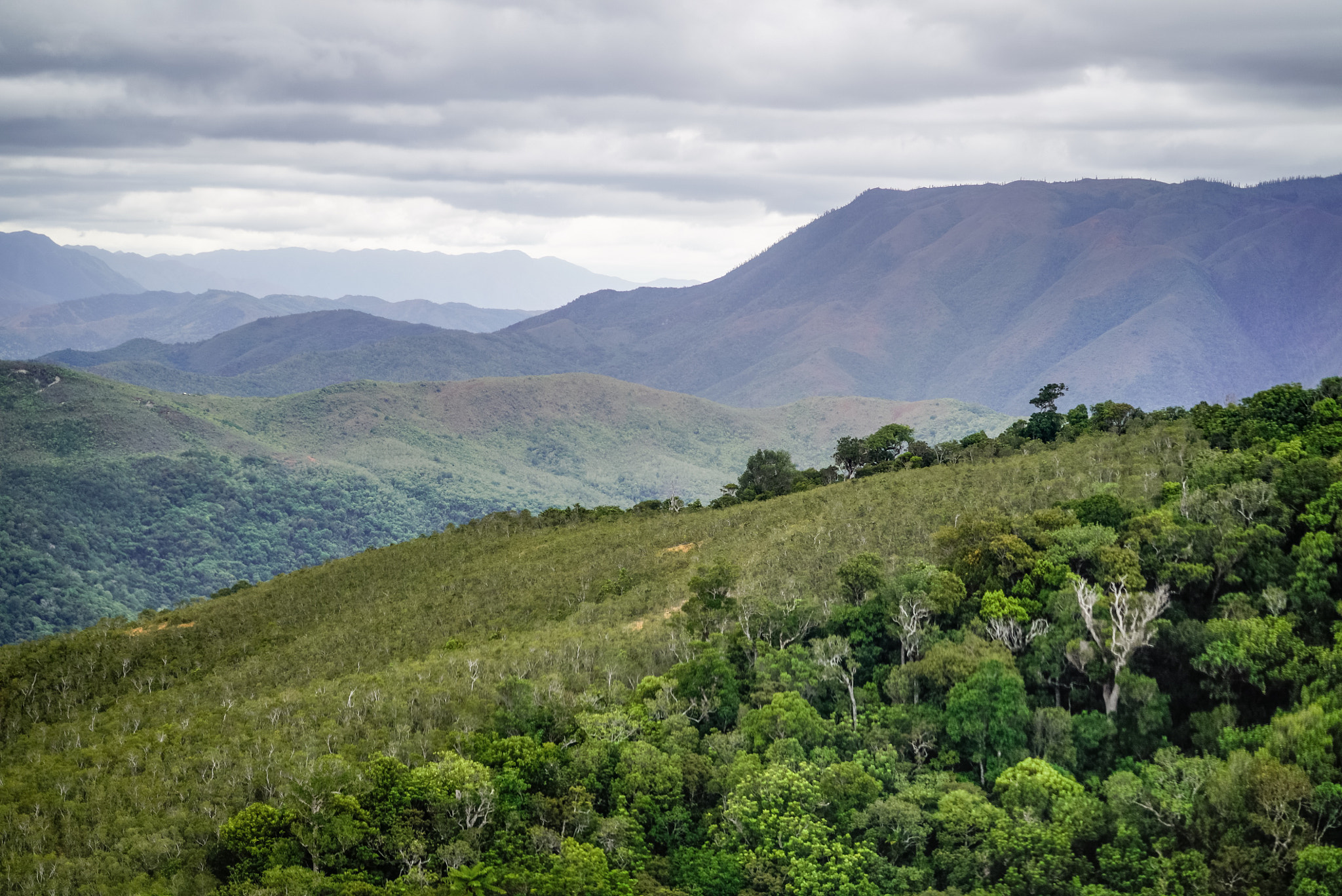 Sony FE 85mm F1.4 GM sample photo. New caledonia landscapes, trees and valleys photography